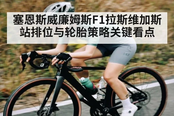 塞恩斯威廉姆斯F1拉斯维加斯站排位与轮胎策略关键看点